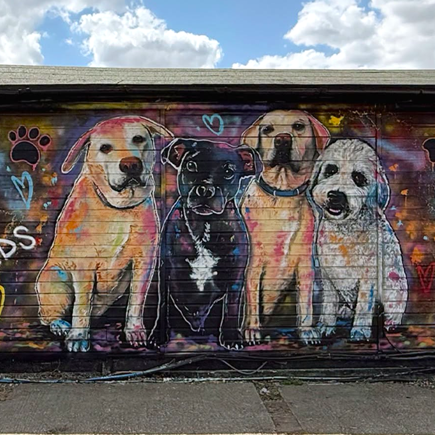 A large outdoor wall mural painted on the side of a building, featuring three dogs and graffiti-style text including 'The Pet Base' and 'Dogs Cats Birds Small Animals'.