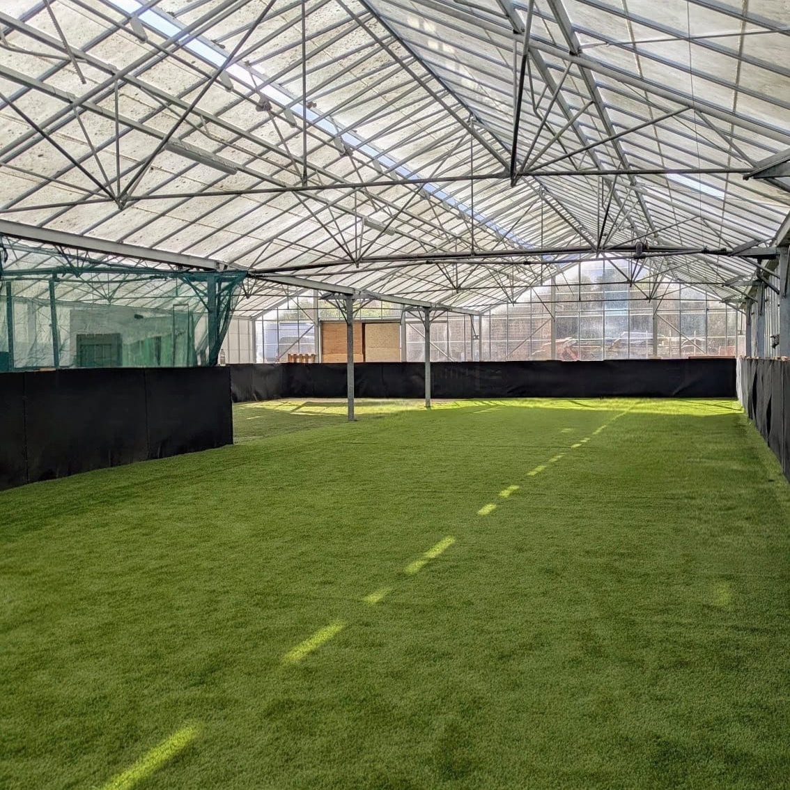 An indoor dog play field with green artificial turf under a large translucent roof structure with metal framing.